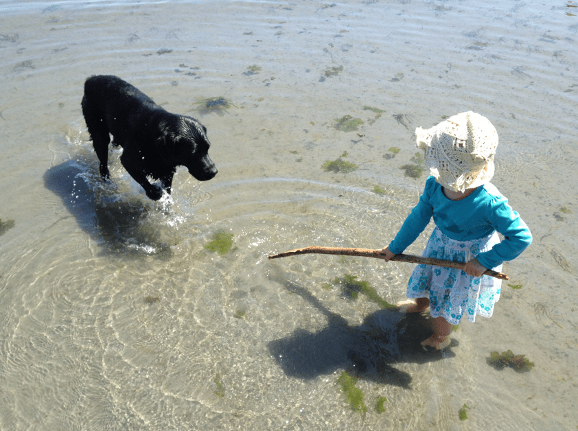 Yukon Cigar [Humidor - At Loggerheads]